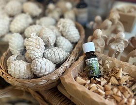 Diese Nahaufnahme zeigt geschnitzte, weiße Zirben-Zapfen in einer geflochtenen Schale. Daneben liegt in einer mit Holzspänen gefüllten Holzschale ein kleines Fläschchen Zirpenöl aus den Alpen.