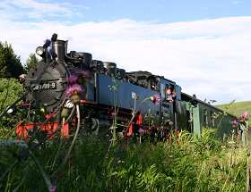 Die Bimmelbahn dampft von Cranzahl bis Kurort Oberwiesenthal