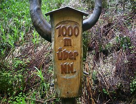 Die 1000 m - Markierung im wildromantischen Schönjungferngrund